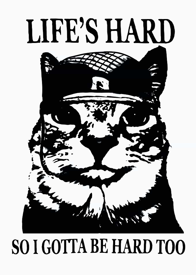Cat Wearing Hat with Text