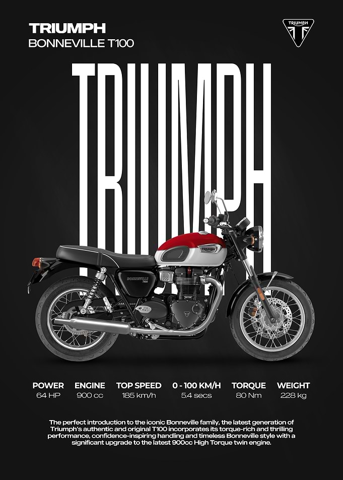 Triumph Bonneville T100 Motorcycle
