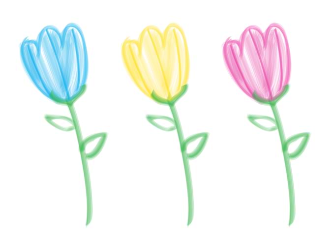 Three Colorful Tulips