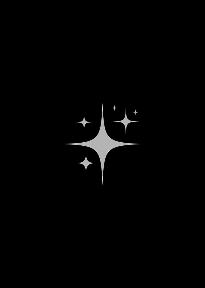 Sparkle and Shine Icon