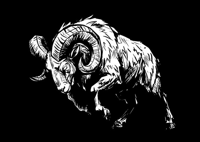 Aggressive Ram Illustration