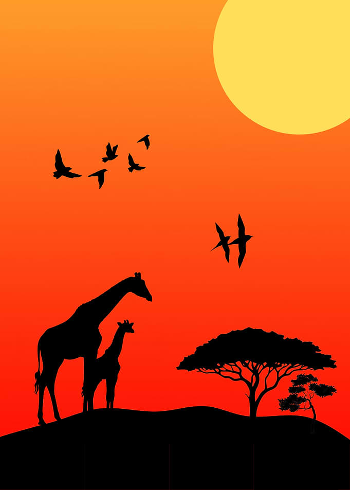 Minimalist Savanna Landscape