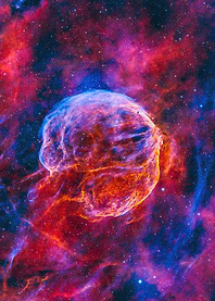 Medulla Nebula for its brain-like shape