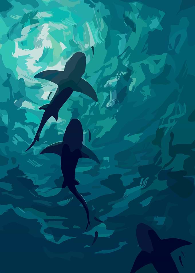 Sharks swimming in blue water