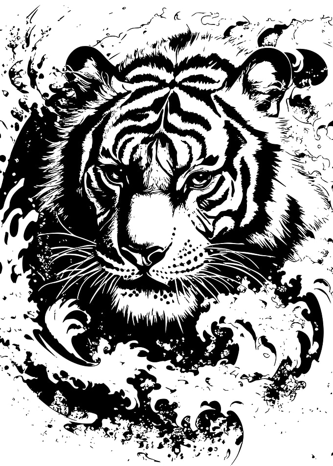 Black and White Tiger in Water