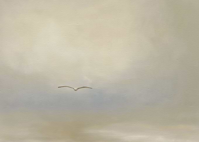 Seagull flying in a cloudy sky
