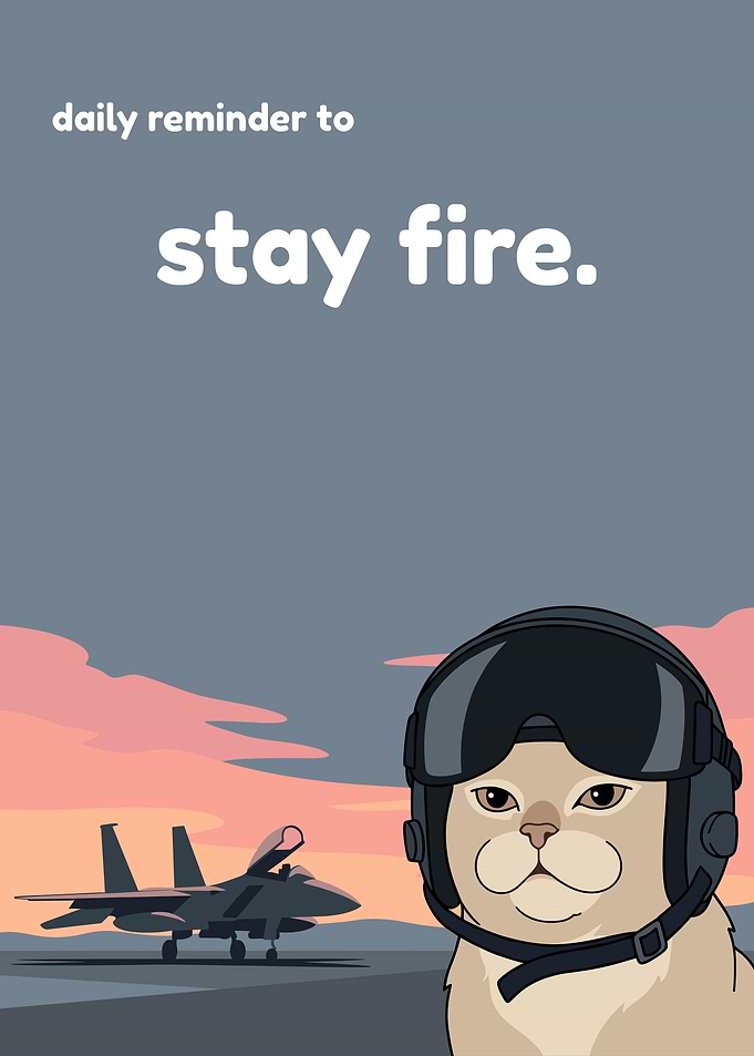 Cat Pilot and Fighter Jet