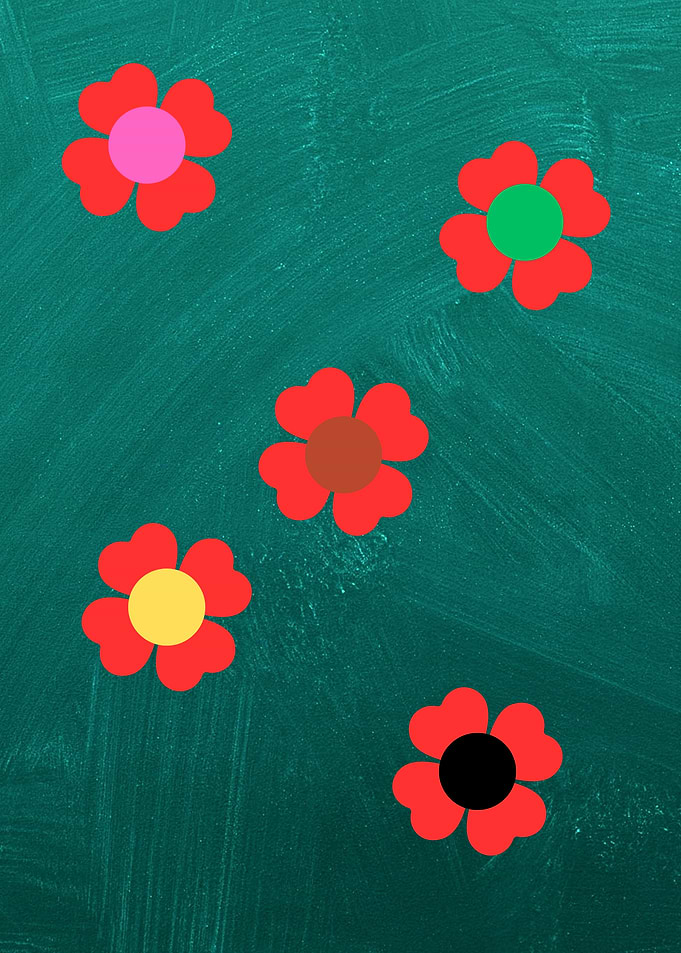 Colorful Flowers on Teal Background