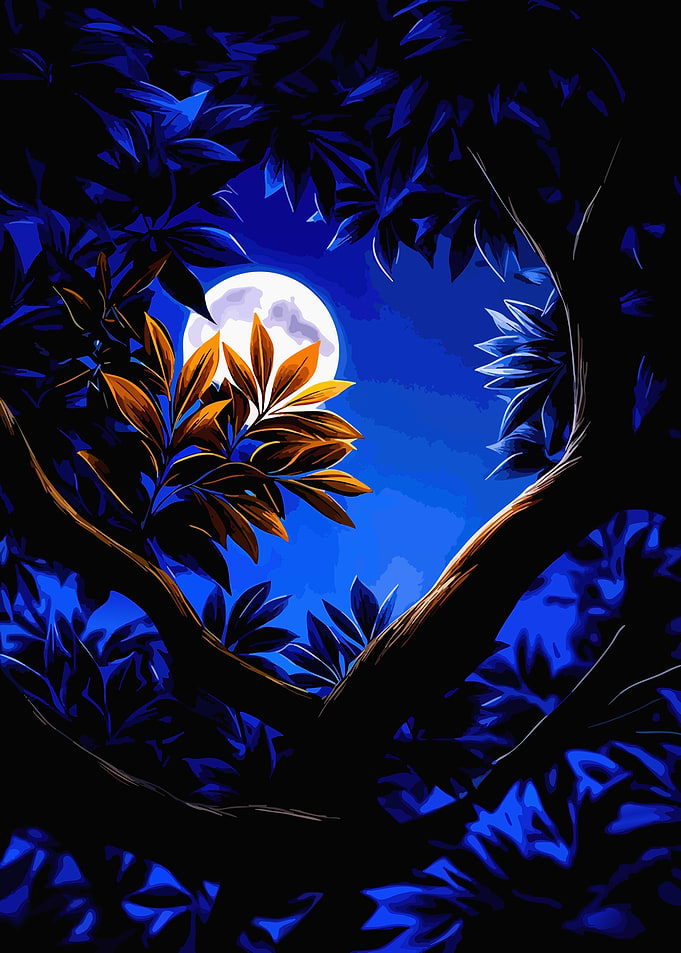 Moonlit Night Through Tree Branches