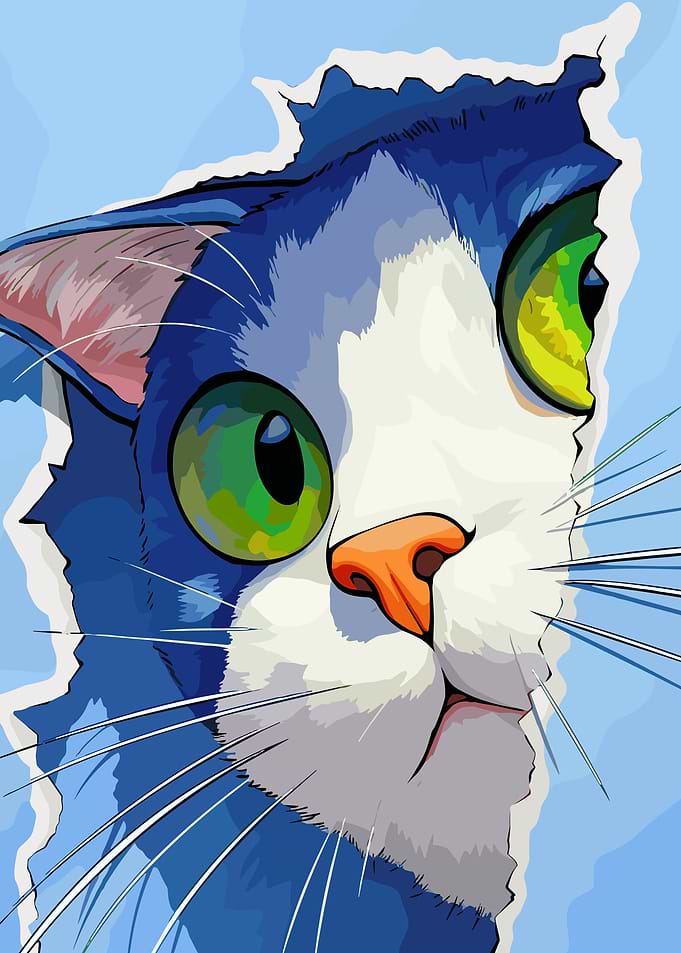 Close-up of Cat's Face