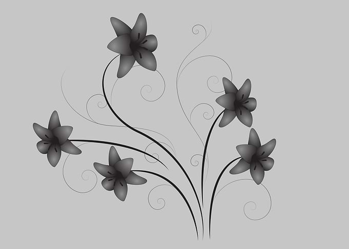Black and White Floral Swirls