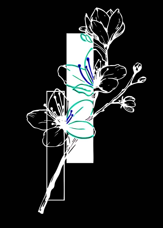 Minimalist Floral Illustration with Geometric Shapes
