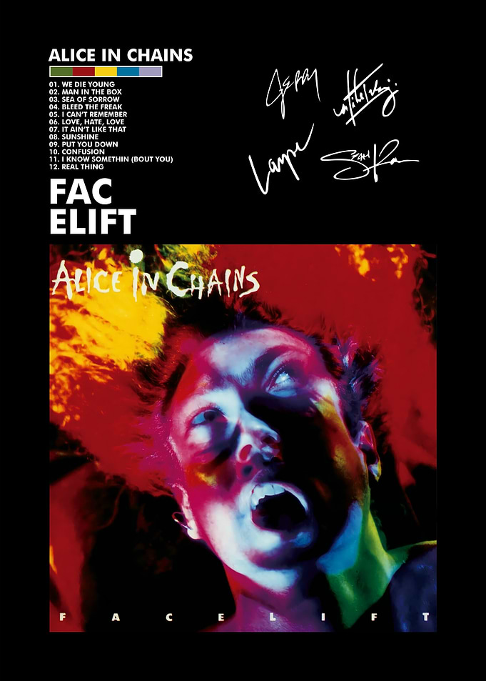 Alice in Chains Facelift Album Art