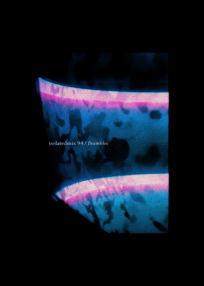 Isolatedmix 94 Brambles Abstract Art