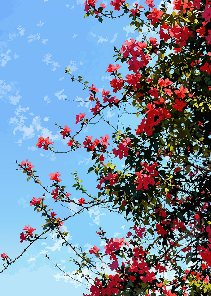 Vibrant Red Flowers Against Blue Sky