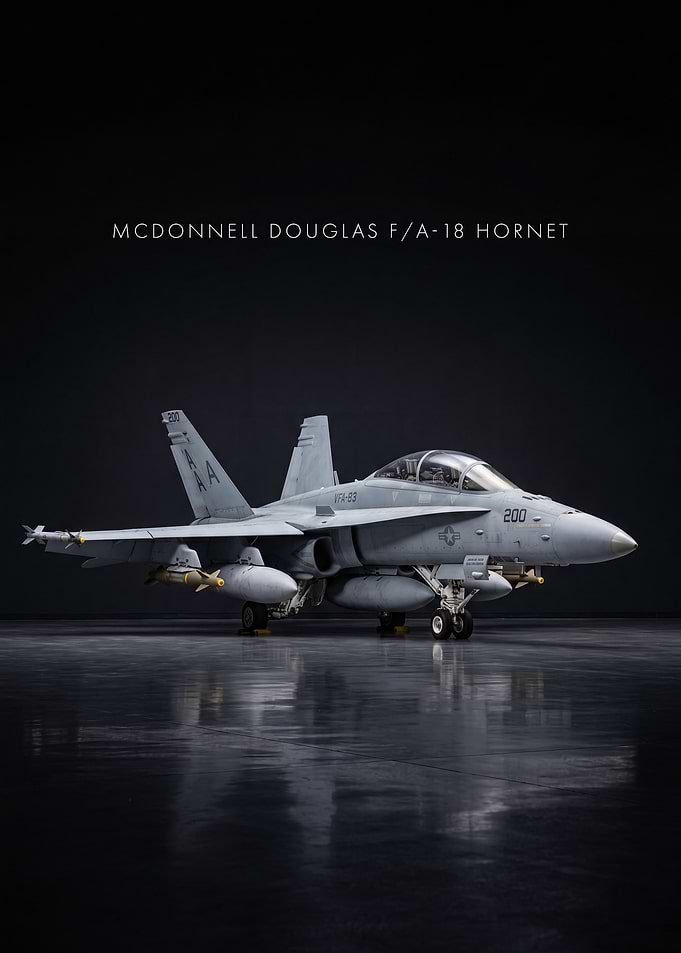 McDonnell Douglas F/A-18 Hornet Fighter Jet