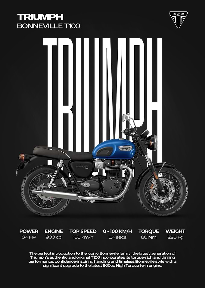 Triumph Bonneville T100 Motorcycle