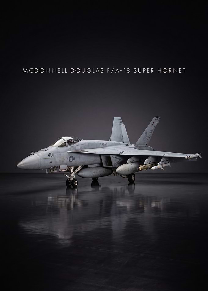 McDonnell Douglas F/A-18 Super Hornet Fighter Jet