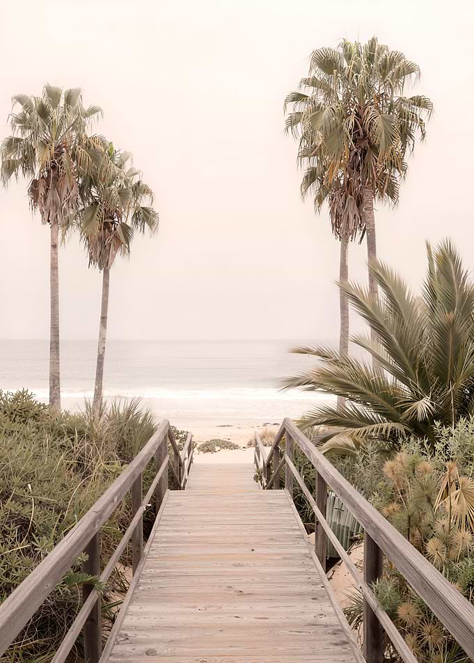 Palm-lined path to the sea