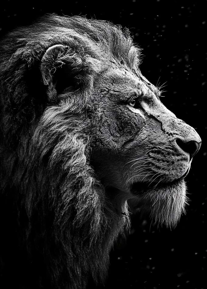 Majestic Lion Portrait