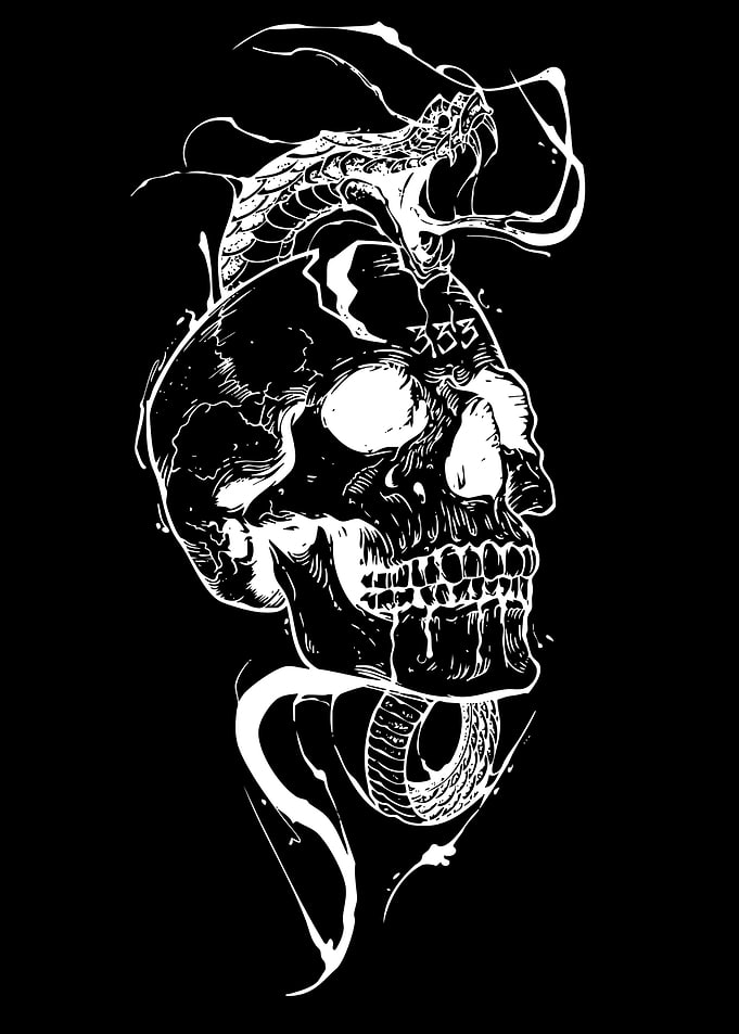 Skull and Snake Illustration