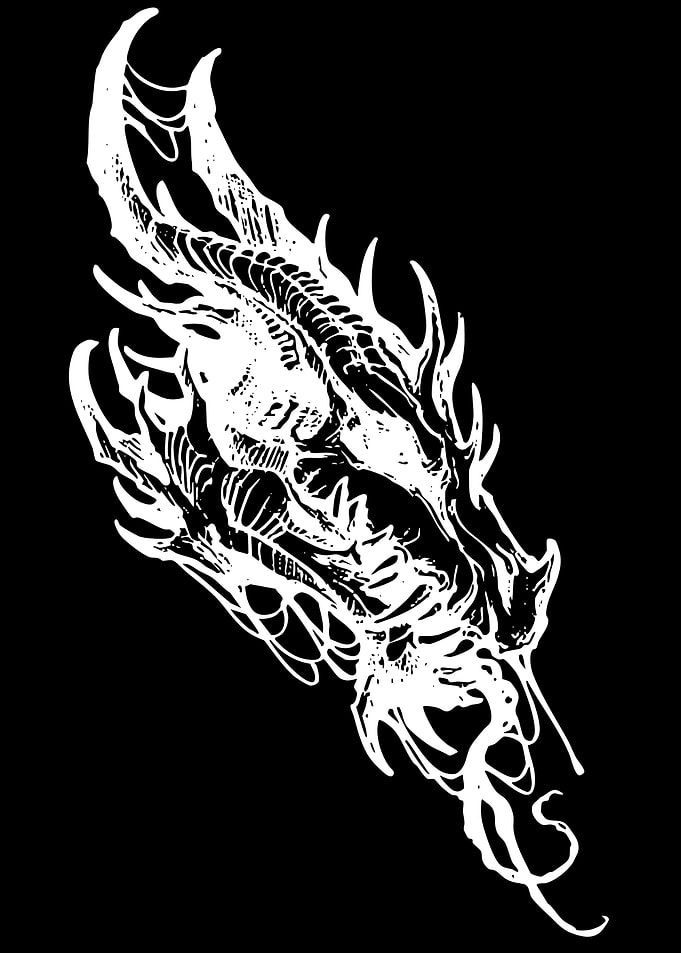 White Dragon Skull Illustration