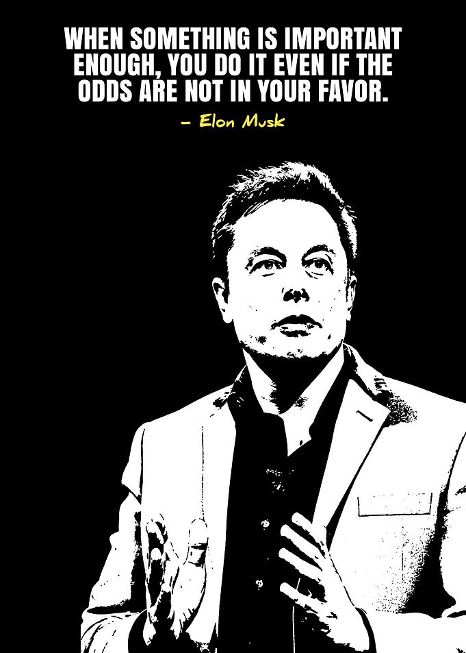 Elon Musk Quote Poster