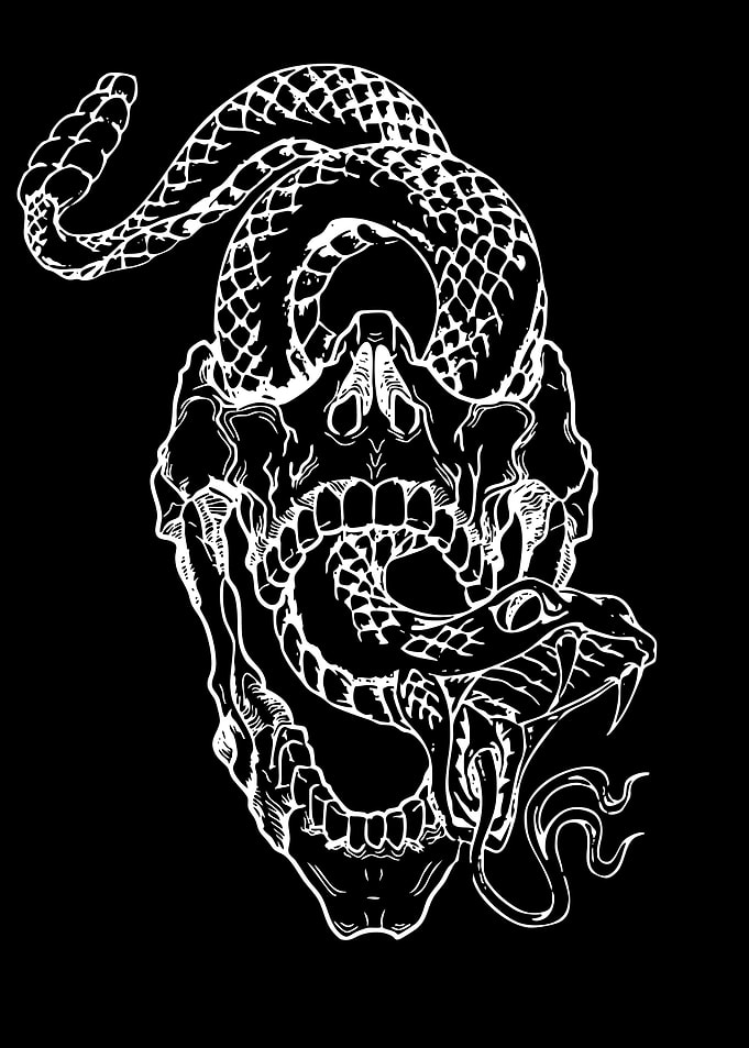 Snake and Skull Illustration