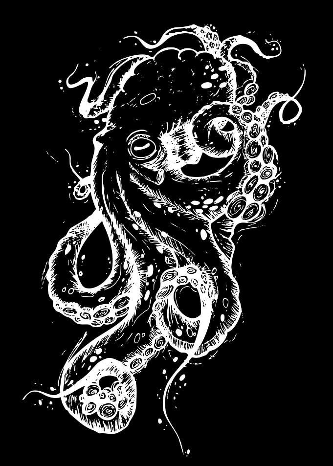 White Octopus Illustration on Black Background