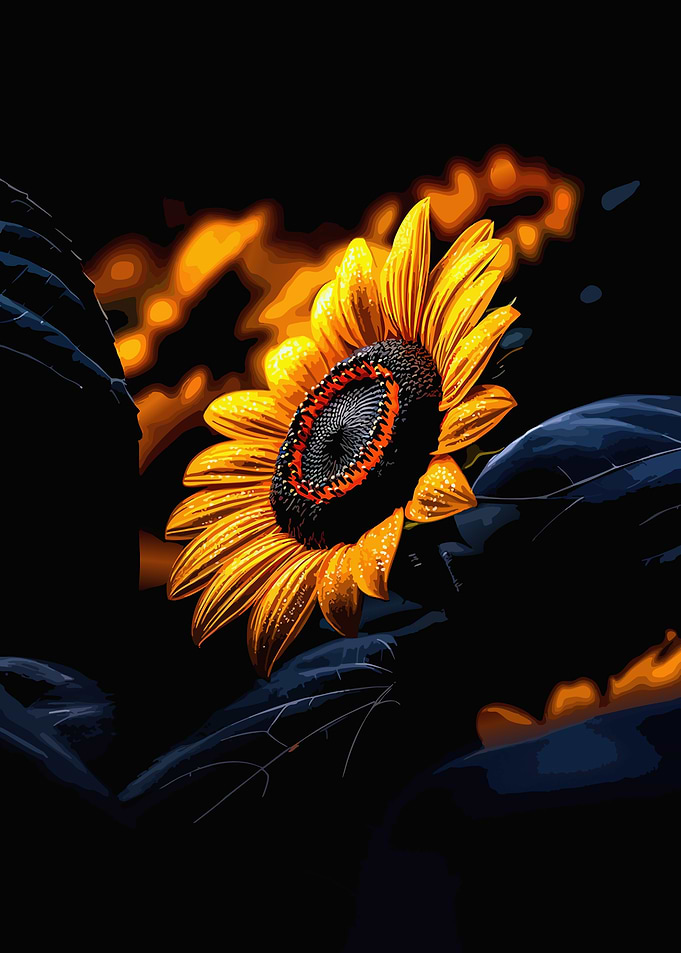 Dramatic Sunflower in Dark Setting