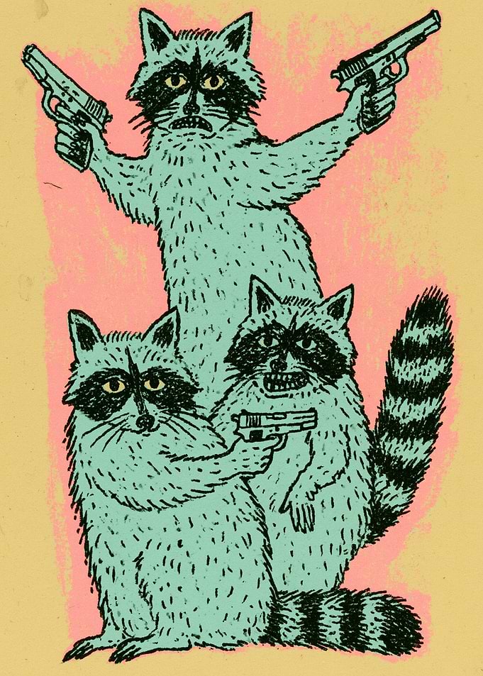 Raccoons with guns
