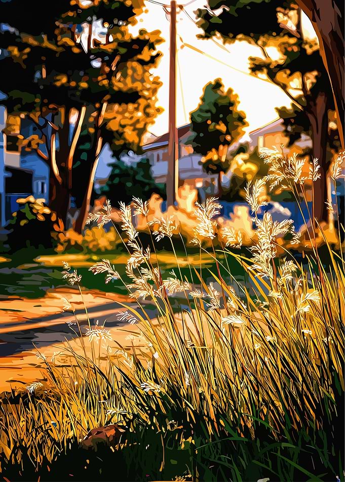 Golden Hour Grass and Street