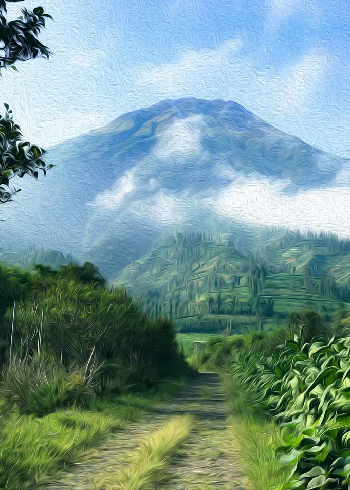 Mountain Landscape with Path