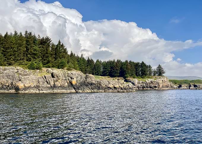 Rocky Coastline and Evergreen Forest at Loch Lomond