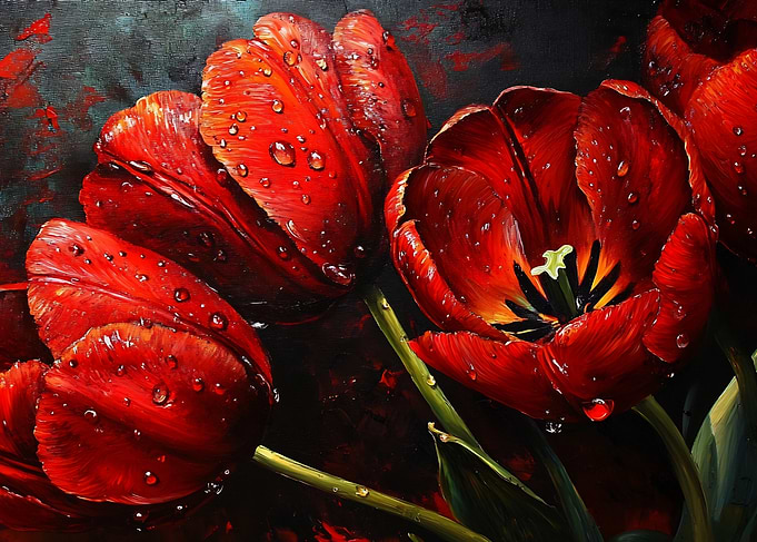 Red Tulips with Water Droplets