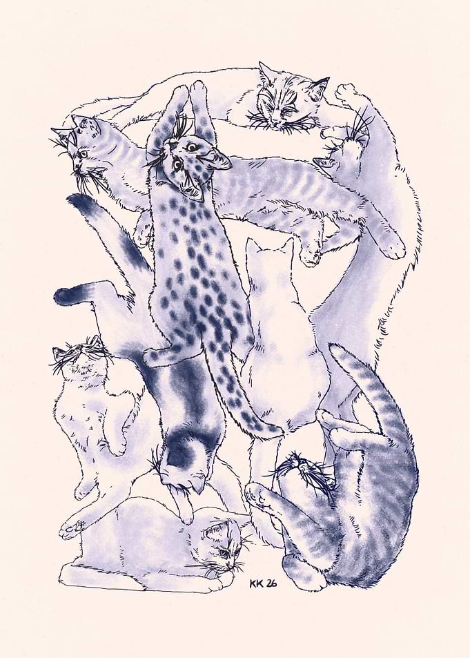 A PILE OF CATS