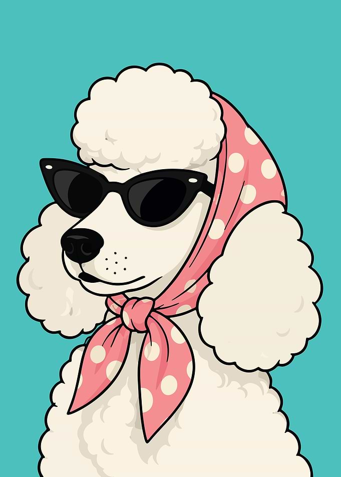 Stylish Poodle with Scarf and Sunglasses