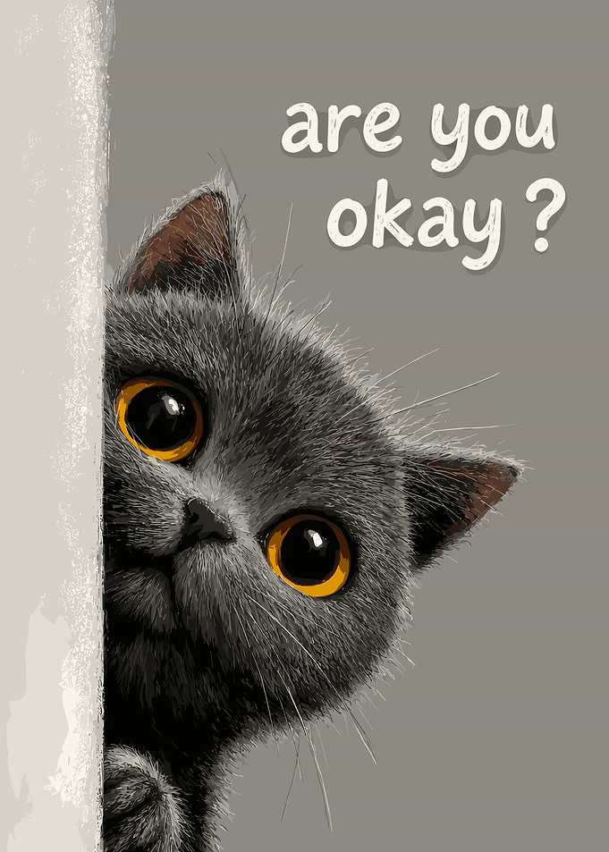 Peeking Cat Asks 'Are You Okay?'