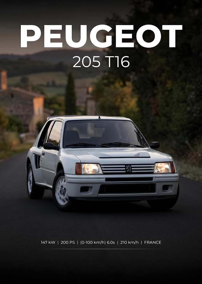 Peugeot 205 T16 Rally Car