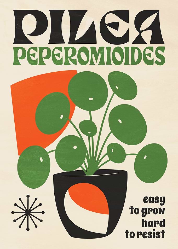 Pilea Peperomioides Plant Poster