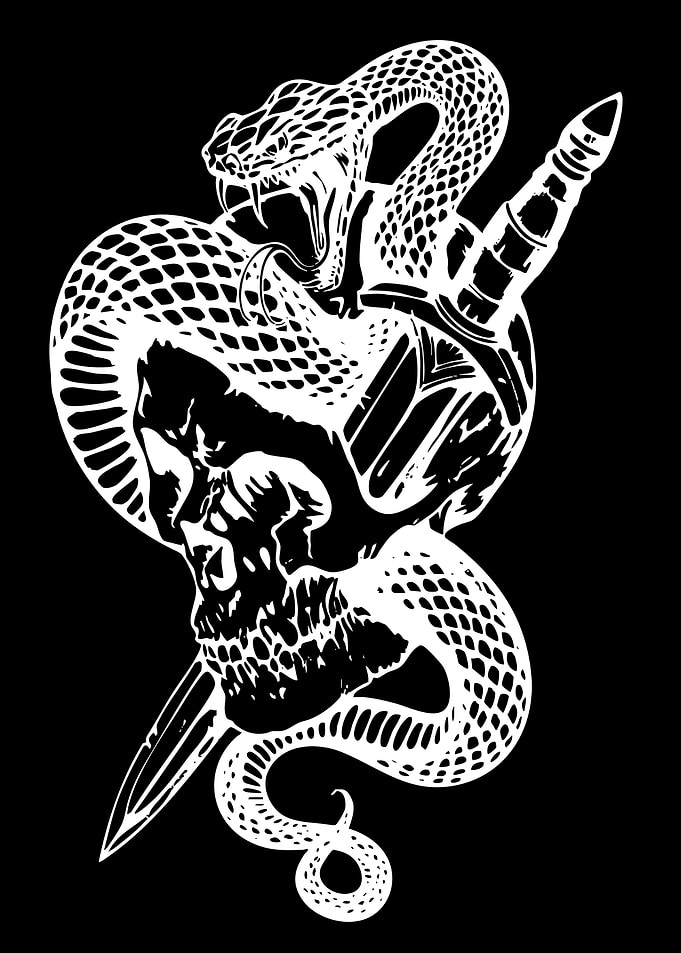 Snake and Skull Tattoo Design