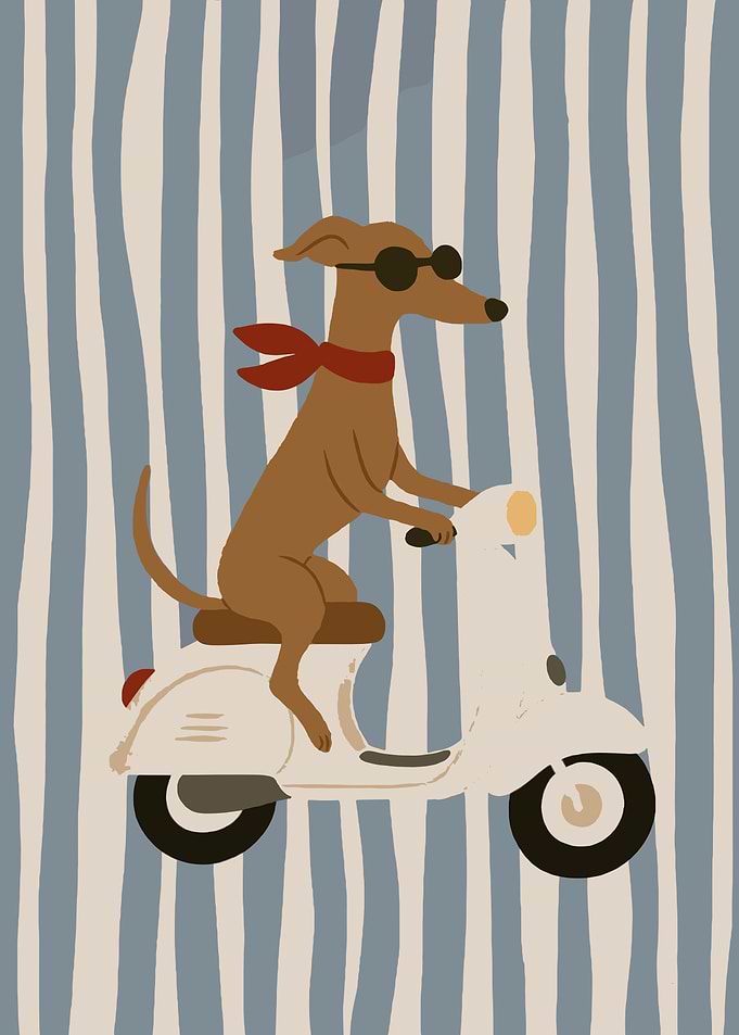 Dog Riding a Scooter with Sunglasses