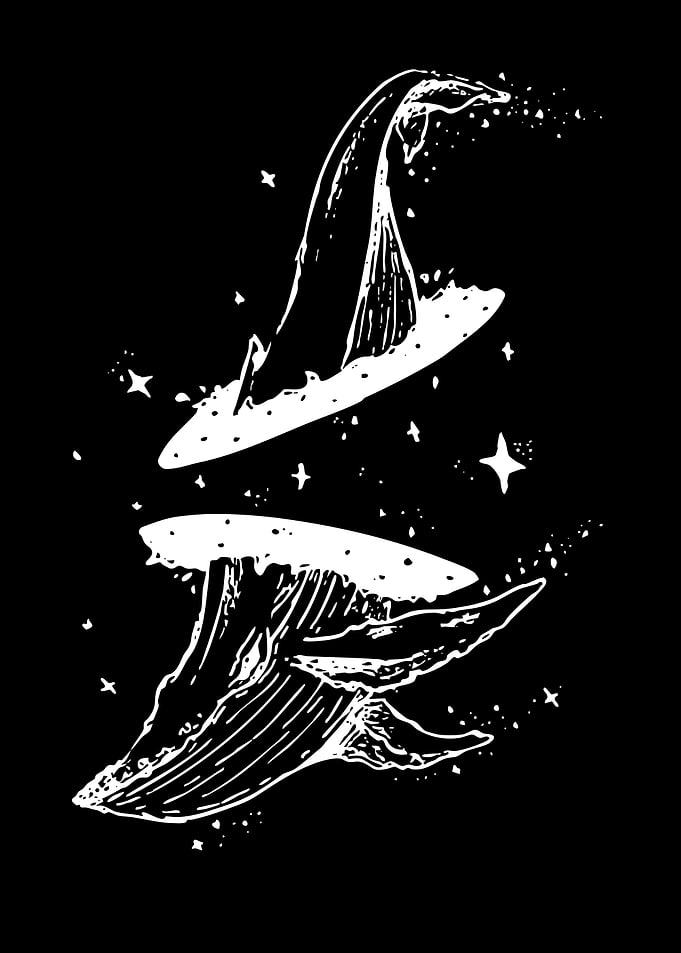 Whale and Wizard Hat in Space