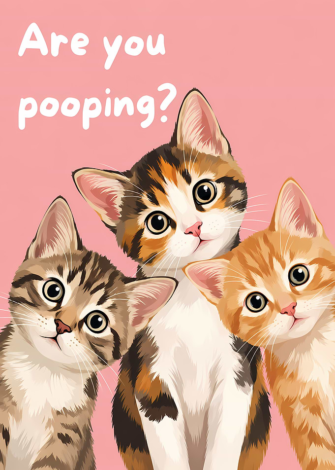 Three Kittens Asking a Question