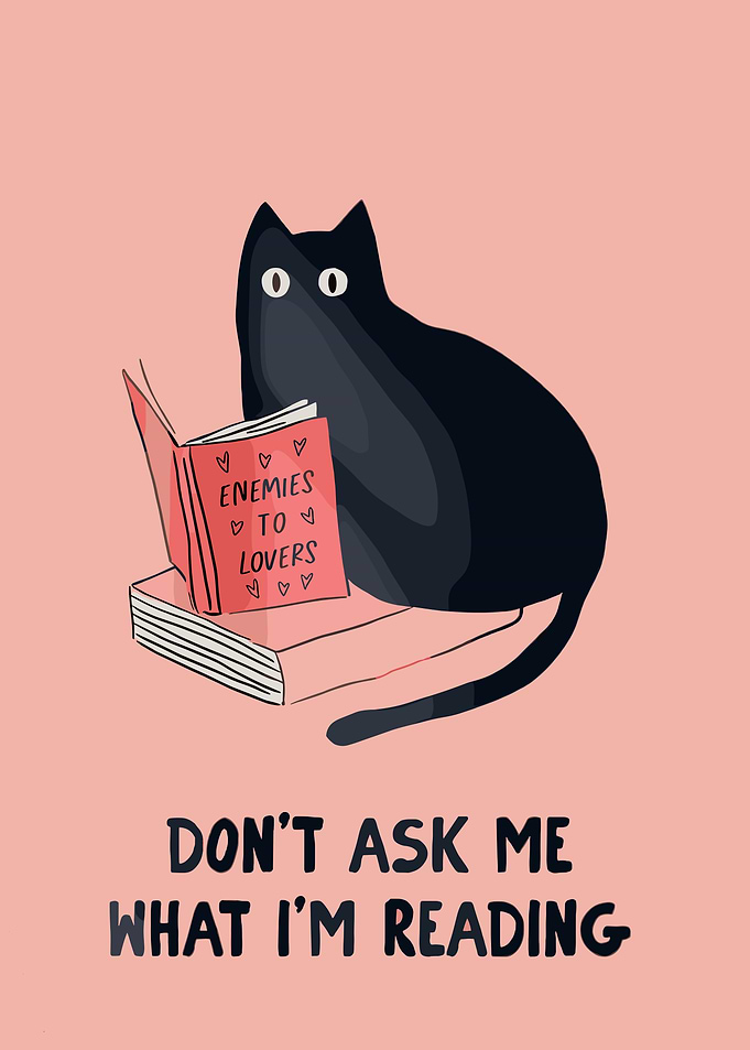Cat Reading 'Enemies to Lovers'