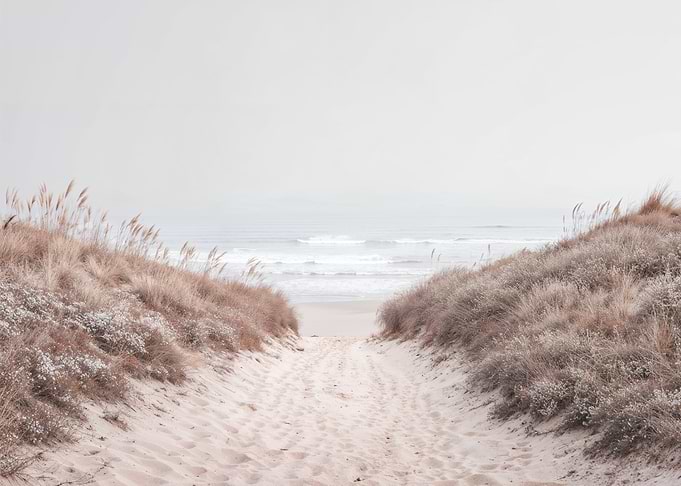 Sandy path to the ocean