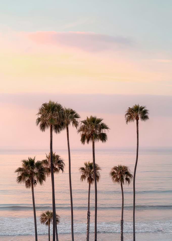 Tropical Tranquility