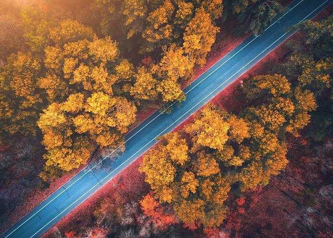 Aerial view of autumn forest road