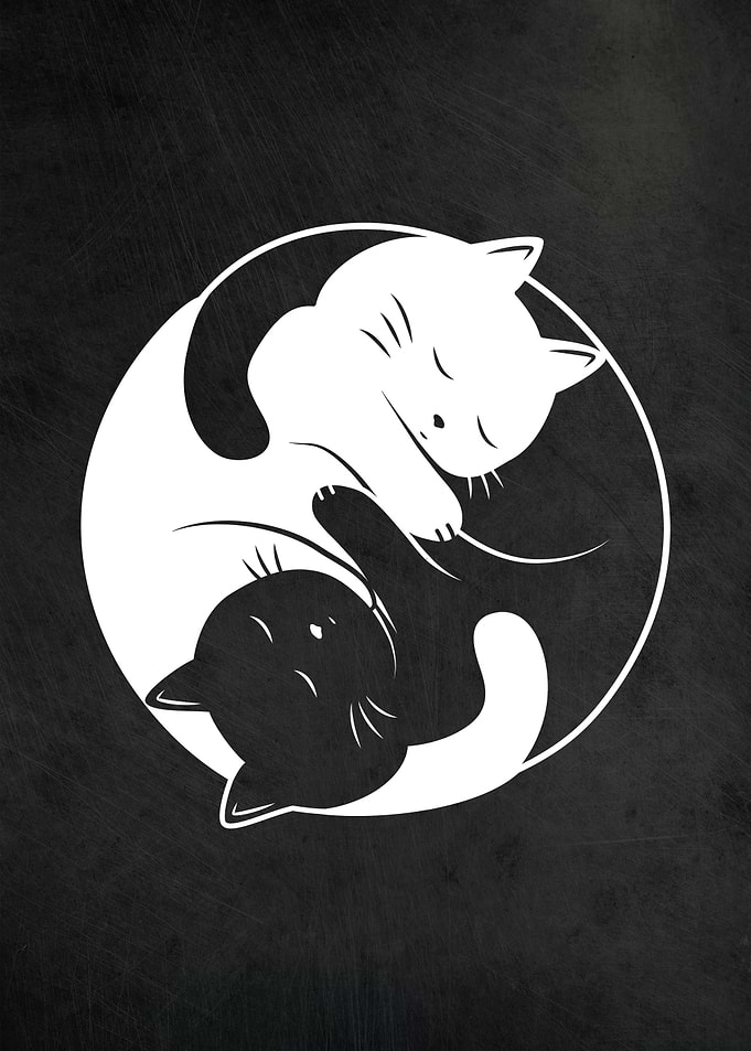 Yin Yang Cats