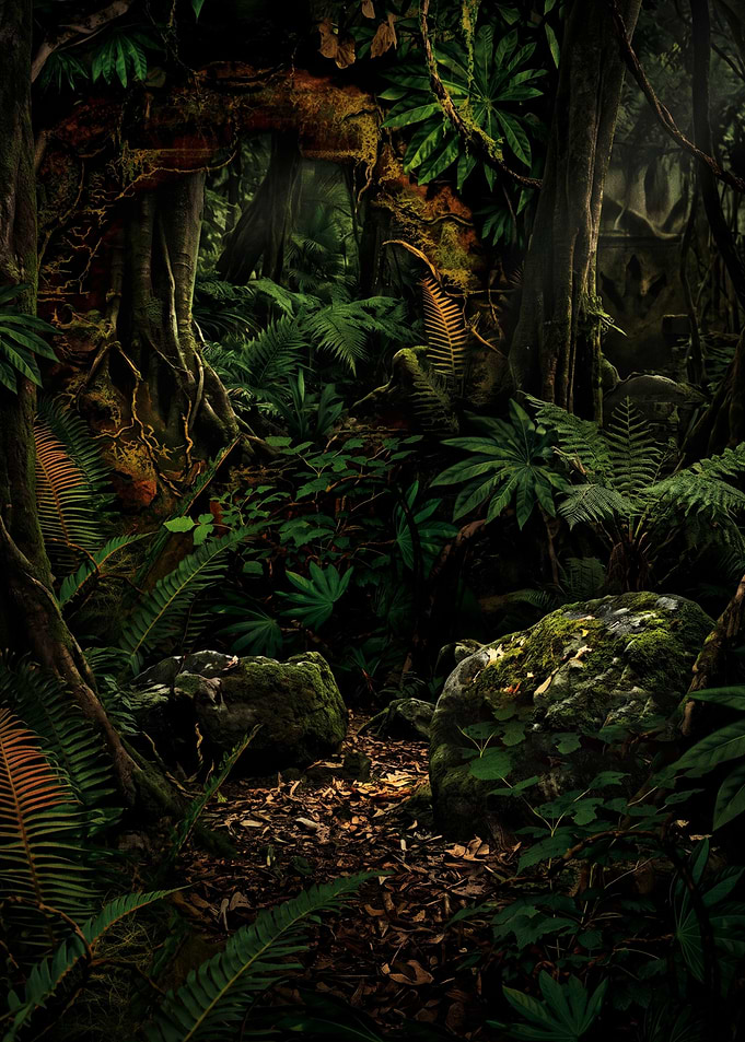 Mysterious Jungle Path